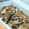 食べチョク 牡蠣 松島。リピート必至、めっちゃ美味しい牡蠣をブログで紹介